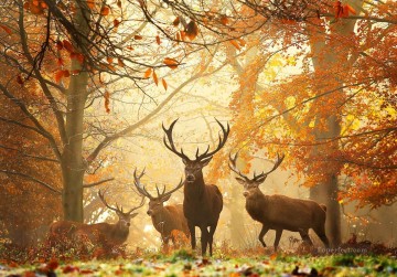  autumn deco art - autumn deer photograph